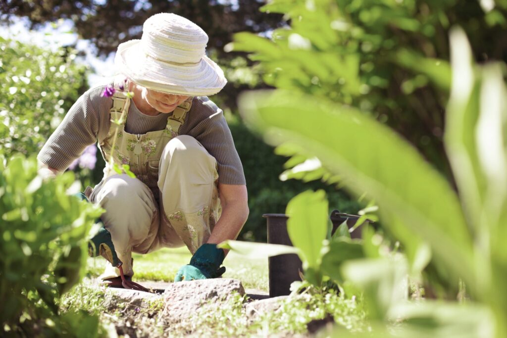 A love for gardening
