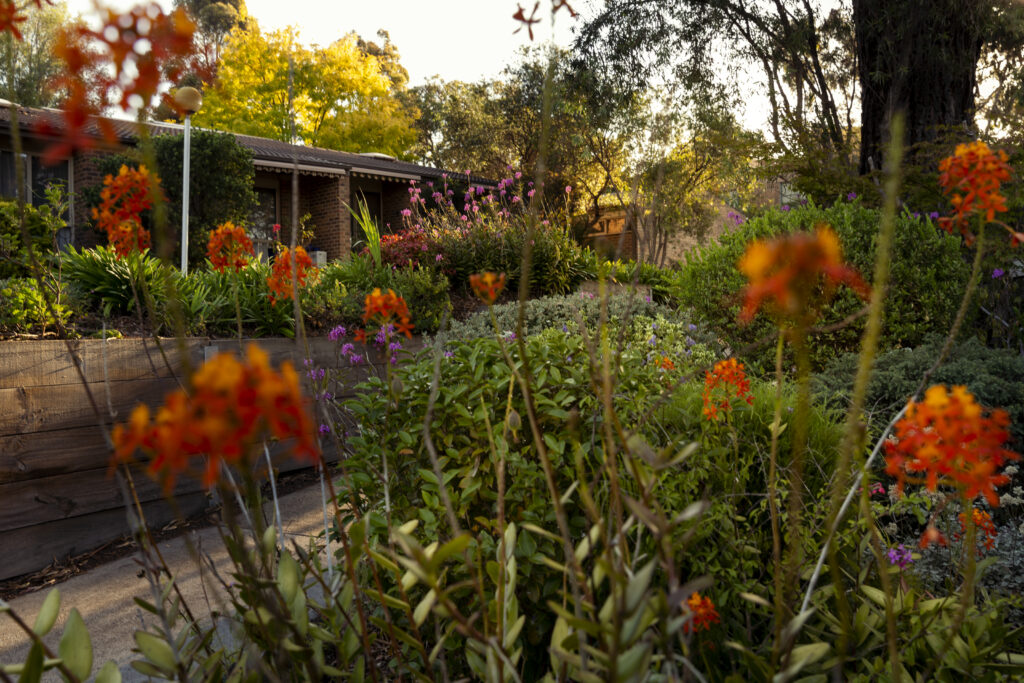 The Healing Power of Gardening